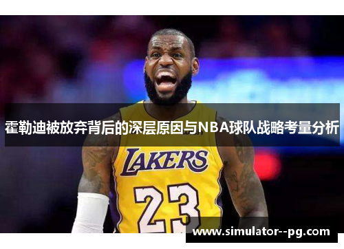 霍勒迪被放弃背后的深层原因与NBA球队战略考量分析